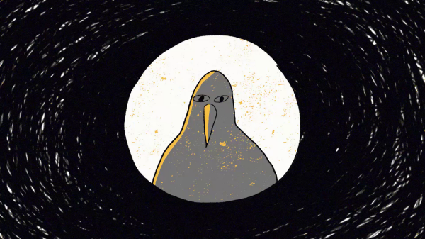 비둘기 / Pigeon